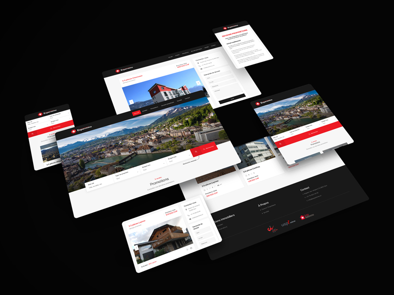Experimmo - Real Estate CMS, Web Development