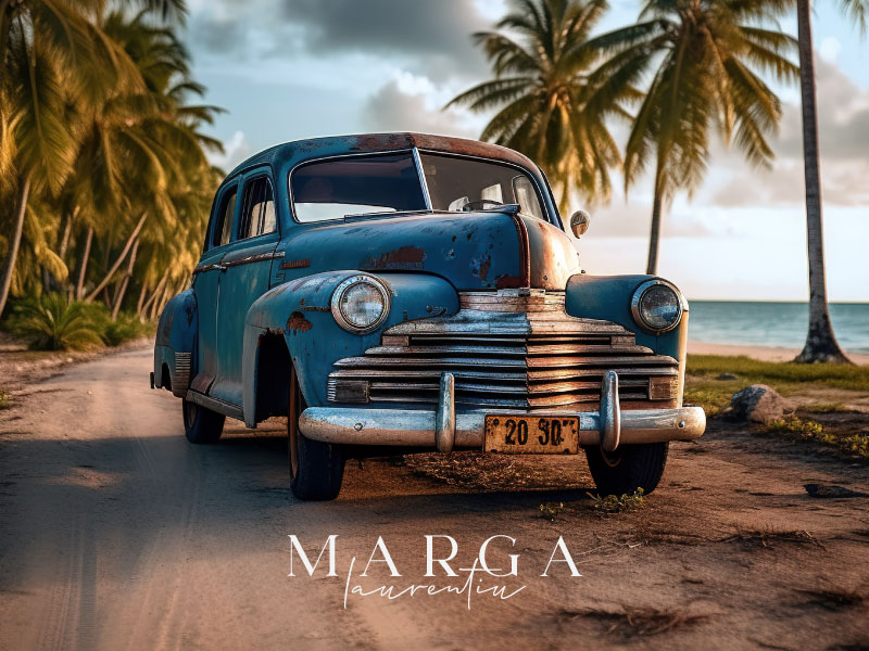 Laurentiu Marga - Brand identity, Logo Design